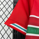 Mens Wales 2026 World Cup Home Jersey(6519)