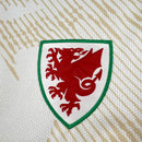 Mens Wales 2026 World Cup Away Jersey(0090)