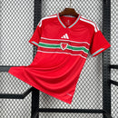 Mens Wales 2026 World Cup Home Jersey(6519)