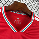 Mens Wales 2026 World Cup Home Jersey(6519)