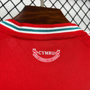 Mens Wales 2026 World Cup Home Jersey(6519)