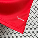 Mens Wales 2026 World Cup Home Jersey(6519)