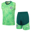 Conjunto Palmeiras Treino Regata 24/25  Verde