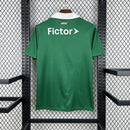 Mens Palmeiras 2025∕26 Special Jersey(66EA)